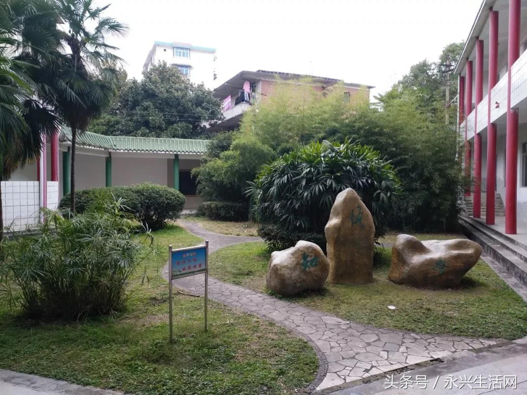 永兴一中老师名单,永兴一中