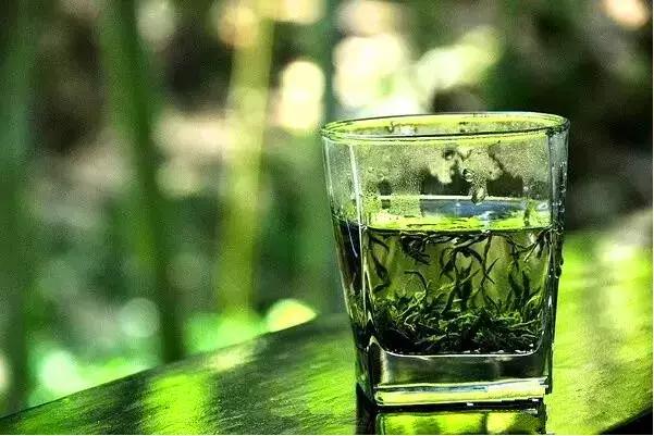 探一探海底世界，访一访竹林人家