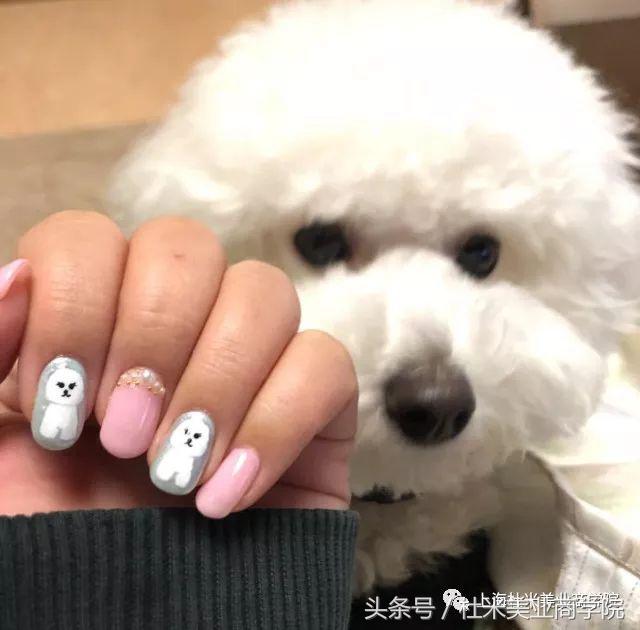 狗年财运最好的地方,狗年发财什么意思