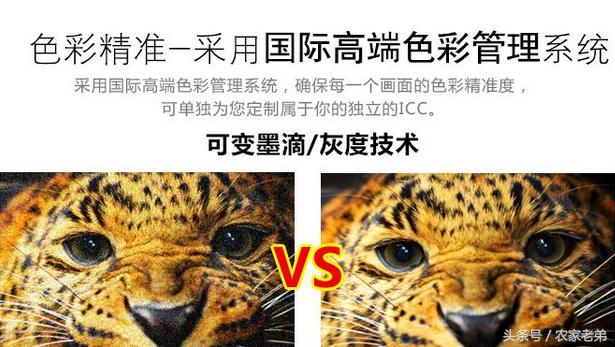 uv打印机打着打着缺色,uv平板打印机漏白怎么调