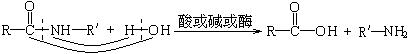 高中有机化学基础知识点整理,有机化学高中知识点汇总