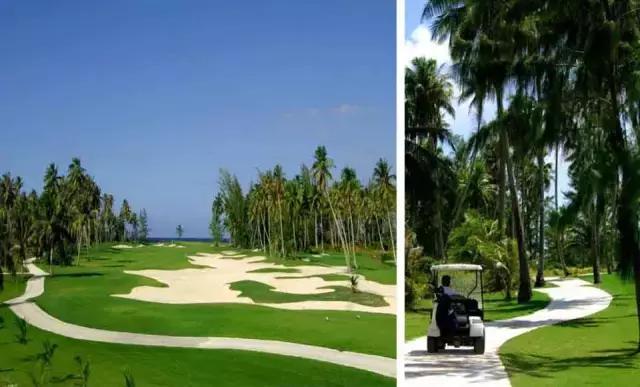 海岛游大溪地,一生必去的十大免签海岛大溪地