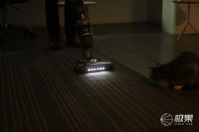 猫奴必做攻略,猫奴必看喵星人