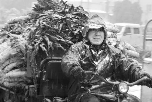 暴雪期间蔬菜价格预测,暴雪黄色预警有多大