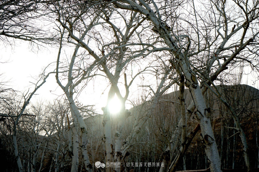 讲个笑话你可别哭图片,讲个笑话你可别哭豆瓣