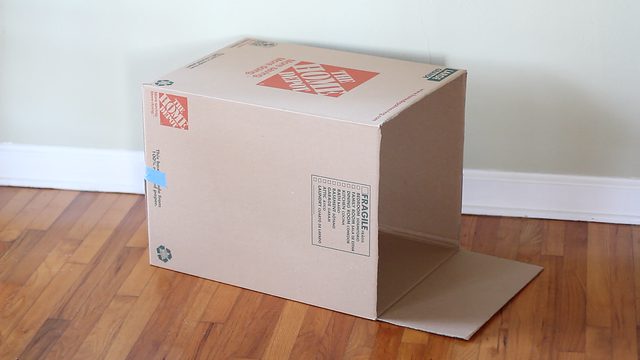 自制手工迷你小宠物小猫,如何用纸板制作神奇的猫咪宠物屋