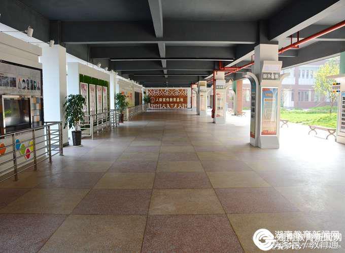 江南学校江南小学,身边的好学校纪录片