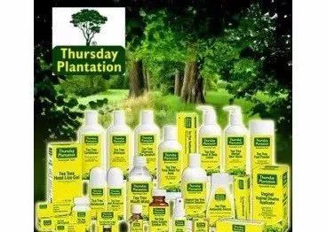 那些年种草的好物,这些年种草的好物有哪些