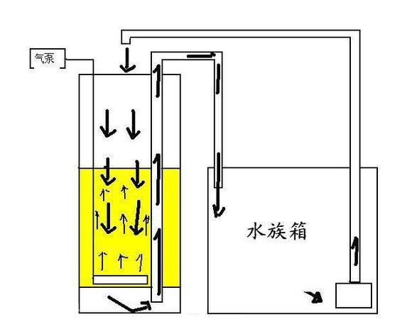 鱼缸怎么样培养硝化细菌,鱼缸如何培养硝化细菌