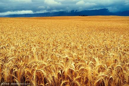 司考备考真实经历,司考备考