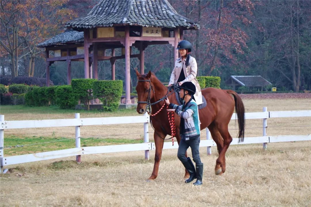 2018年春节你准备怎么过,2018年的春节你想在哪儿过