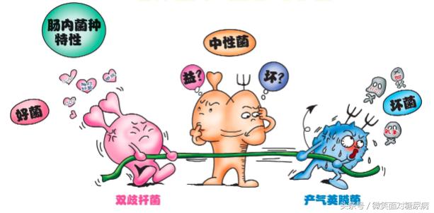 糖尿病能吃仁和益生菌吗,同仁堂益生菌对糖尿病有好处吗