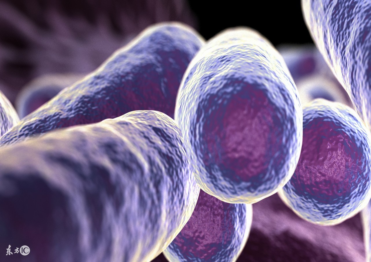 家畜亚硝酸盐的中毒与解毒,家畜食盐中毒的治疗原则