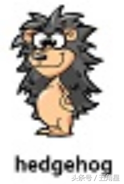 30个动物英语单词视频,动物的英语单词常见100个