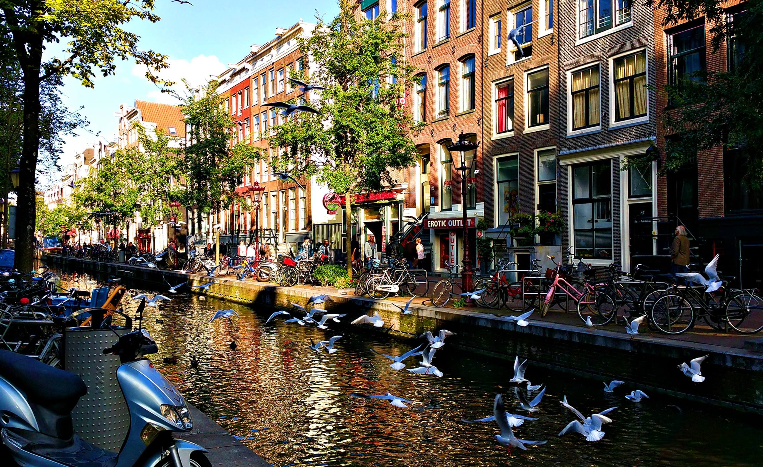 荷兰梦幻旅游景点,荷兰最美十大小镇