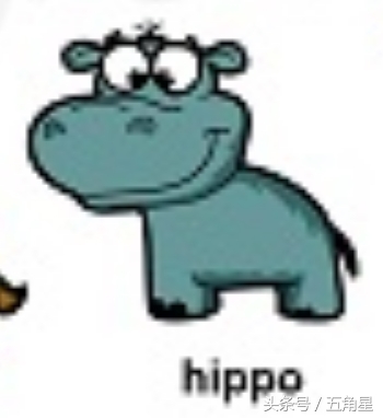 各种动物的英文单词视频,2-8岁儿童学动物英文单词