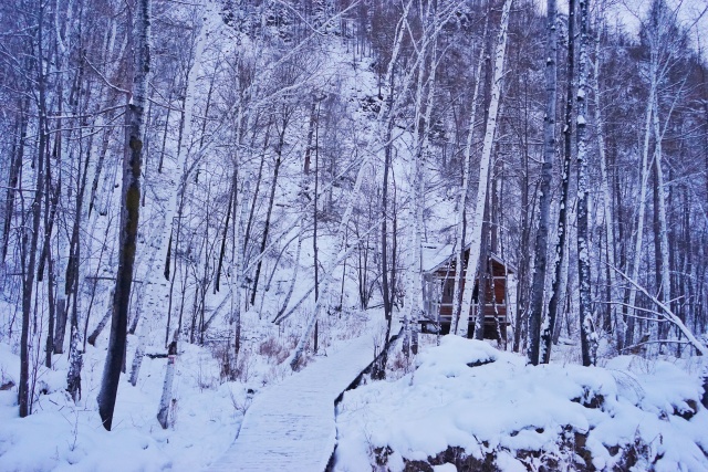 「新年目的地推荐一」金鸡之巅，边境梦雪，一路向北