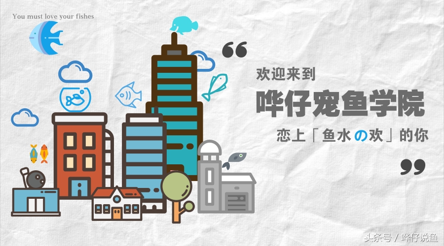 一个水族馆卖鱼缸一年能卖多少钱,开一家水族店的感受