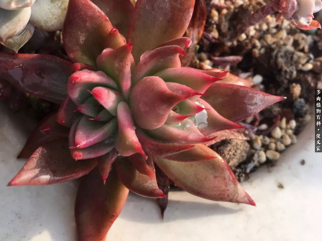 遇见你真是很幸运,遇见你真的很幸运下一句