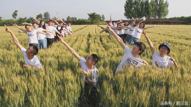 北大、国科大等纷纷设立农学院，农业院校如何为乡村振兴服务？