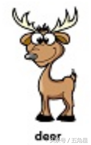 动物的英文单词都有哪些,动物英语单词13个