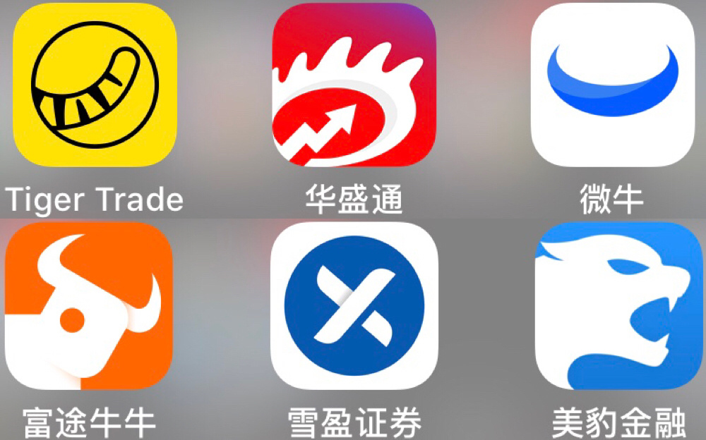 国内美股炒股平台,国内美股行情软件哪个好