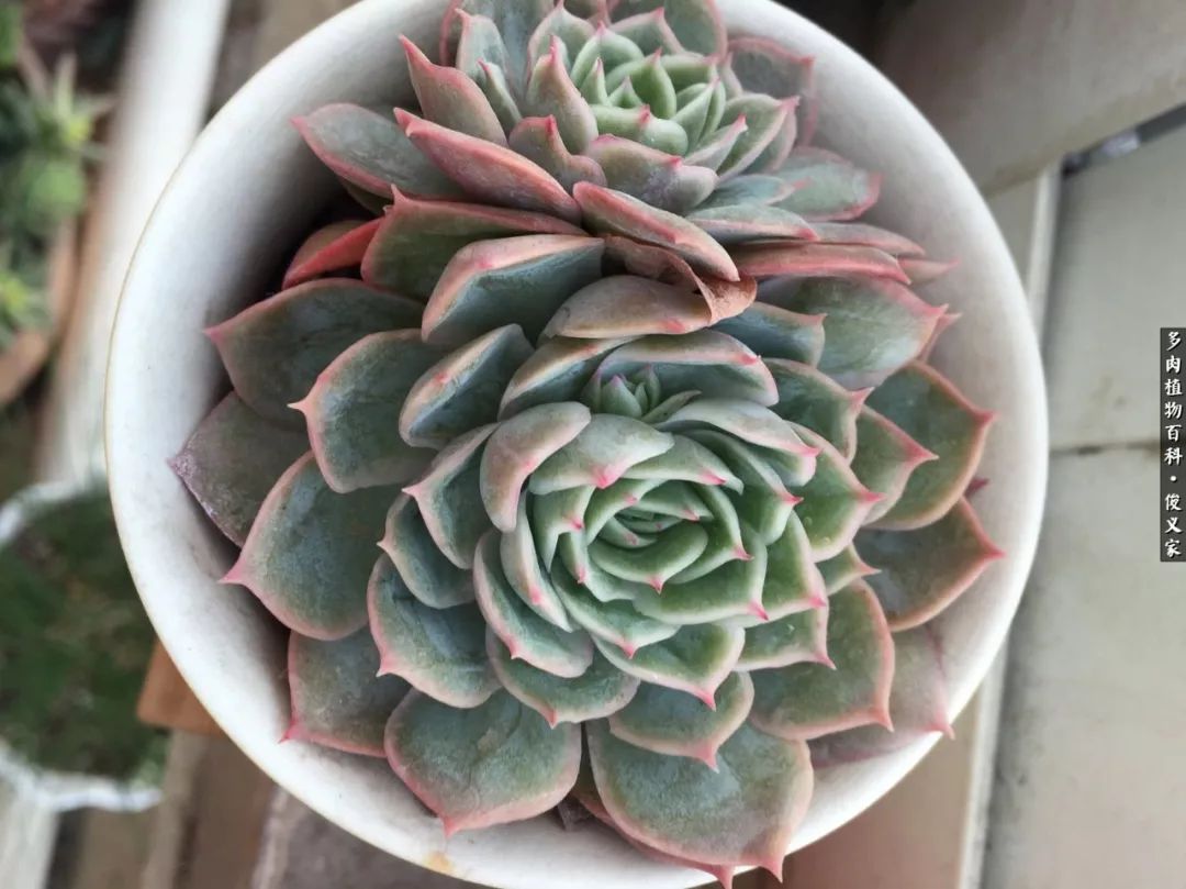 遇见你真是很幸运,遇见你真的很幸运下一句