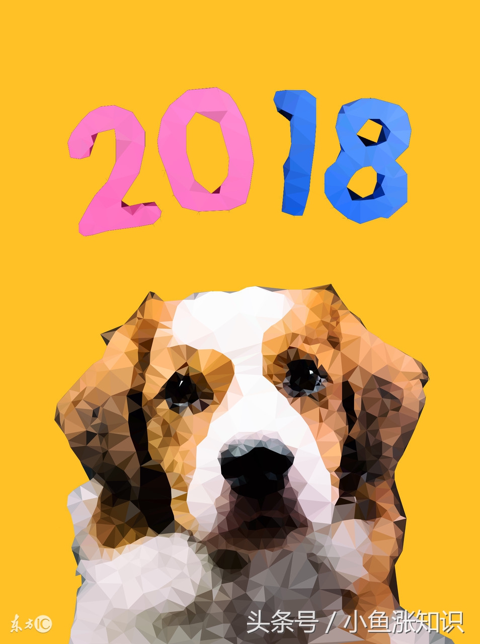 狗狗中毒吃什么解毒,每日科普动物冷知识