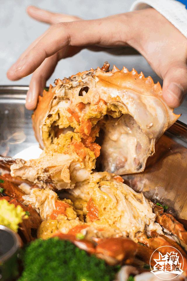 美蛙鱼头网红店浙江店,美蛙鱼头火锅网红店川味