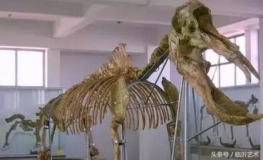 临沂景色有多美,临沂的独特风光