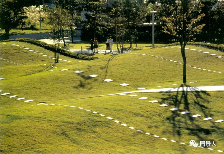 新铺的草坪怎么维护,草坪怎么维护保养