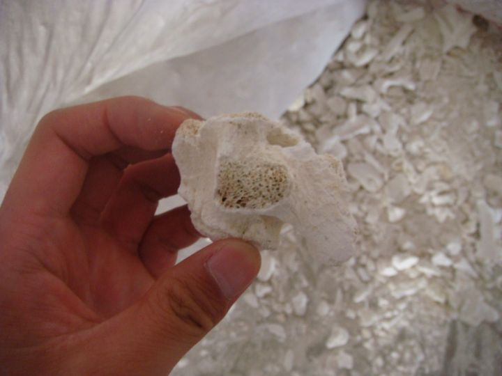 别再傻傻的买瓷砖,别再傻傻买老款茶炉了