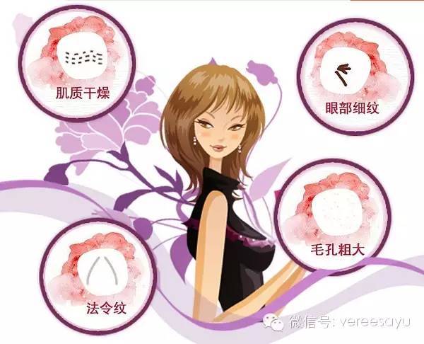 日立n4800与4000比较 (日立n4800和4000)