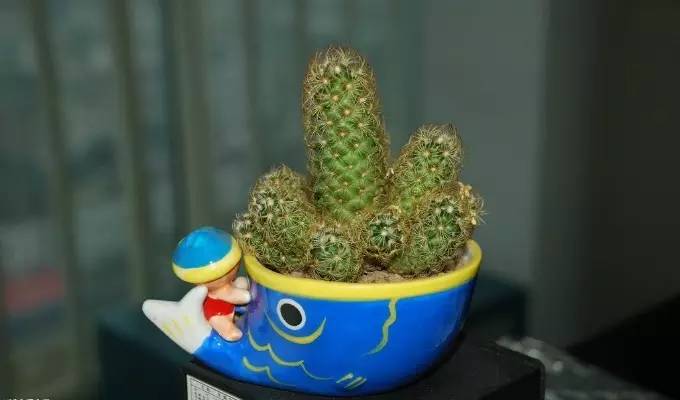 风水上卫生间应该注意什么,风水中如何消除湿气