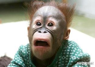 新闻龙门阵｜遭泼狗血！这个新郎太惨了，我宁愿单身到老