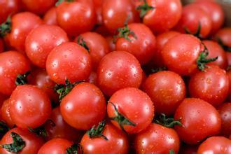 保护眼睛的蔬菜,什么蔬菜有助于保护眼睛