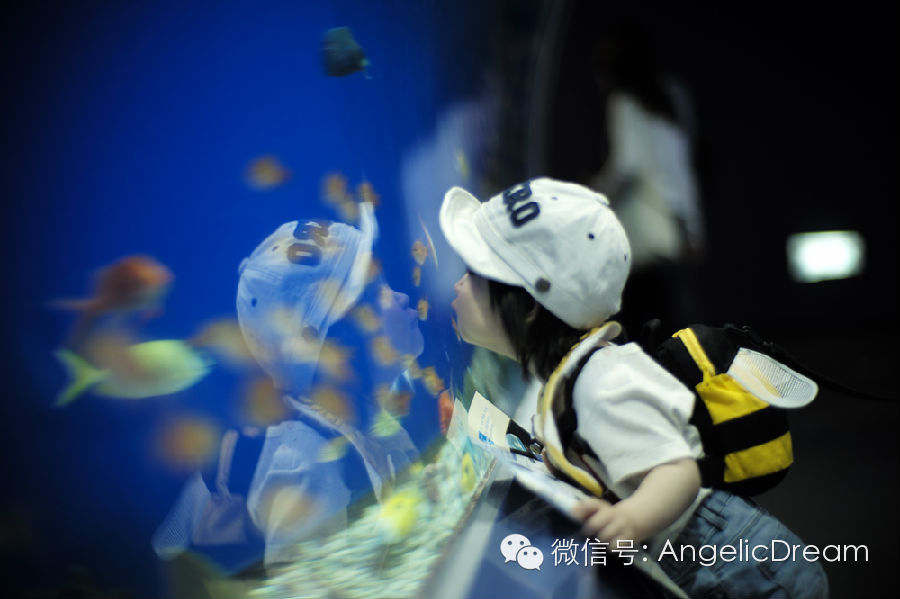 一个中国妈妈带着孩子去了美国,带孩子去日本攻略