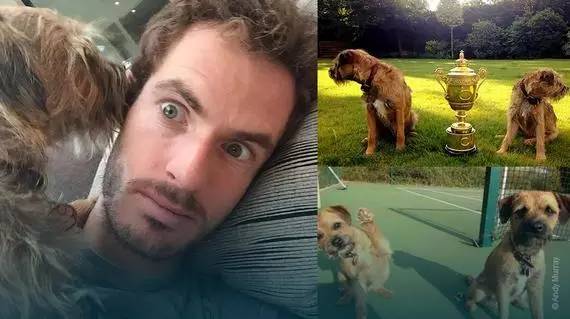 卡门的杂货铺|牵着大象去逛街，图说体坛明星的宠物情缘