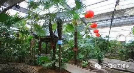 五一沈阳亲子游推荐 (2022年沈阳五一户外好玩的地方)