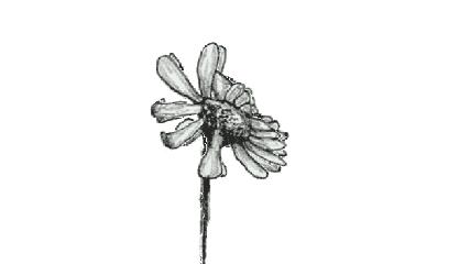 缇庝附鍗曞搧鎺ㄨ崘2017,缇庝附鍗曞搧