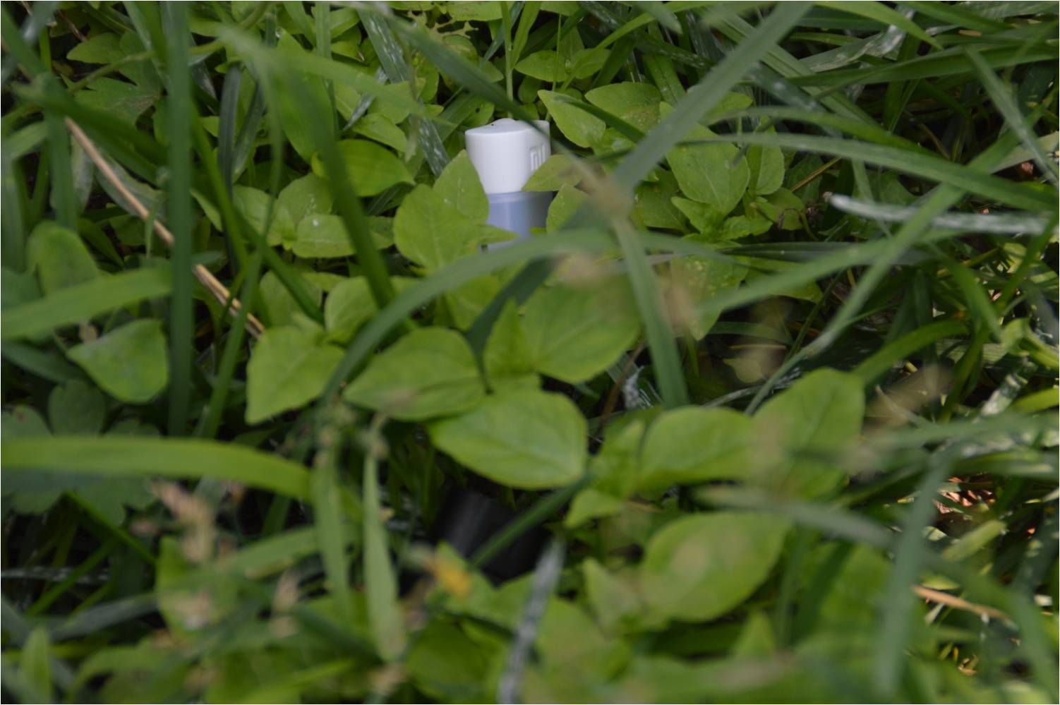 小米随身无线wifi,小米随身wifi无法切换到网卡模式