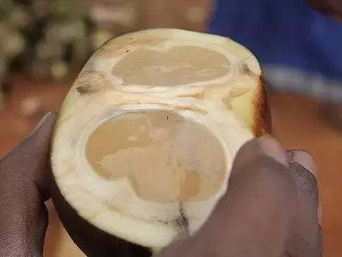 吃过这五种水果是土豪,这些水果吃过一半以上的全是土豪