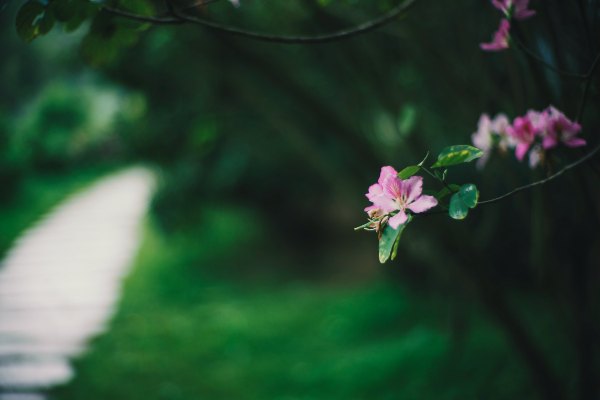 从化温泉之旅,从化文轩苑温泉攻略