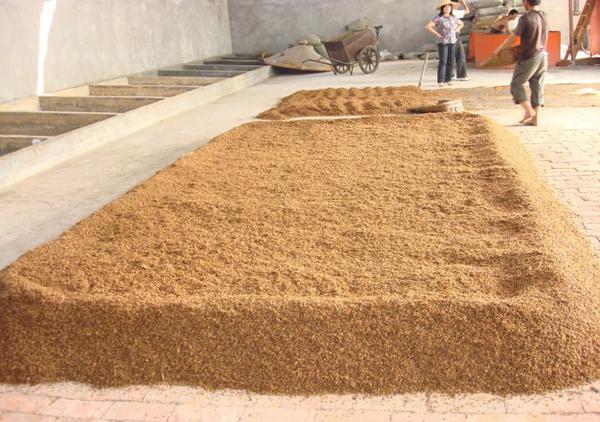 买酒不踩坑顺口溜,酿白酒怎么购买酒曲