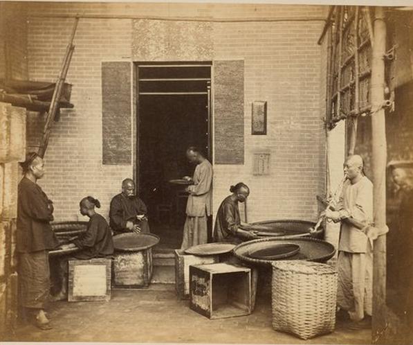 三鞭参茸固本丸功效与作用禁忌,同仁堂固本丸