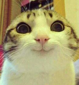 粉饼的海绵可以洗吗,粉饼里面的海绵怎么用