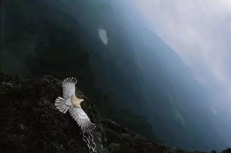 高桥吾郎，苦难的人生，可他依旧做出了万人追捧的银饰