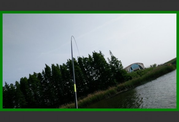 閲庨挀鐑х儰缁濅匠鐮佸ご,鎺ㄨ崘閽撻奔鐑х儰