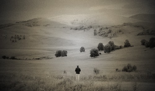 文本细读孙绍振,文本分析孙绍振