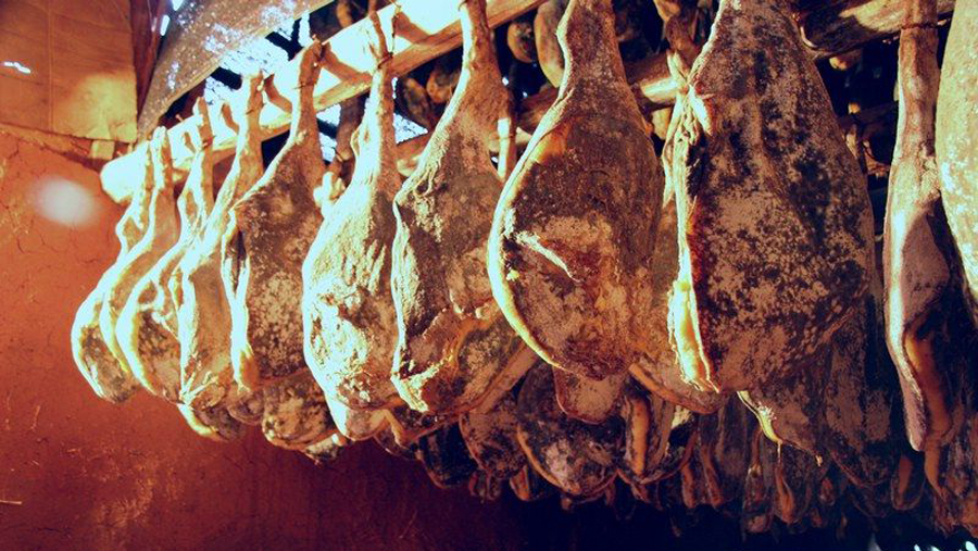 关于食盐的故事视频,关于盐的问题